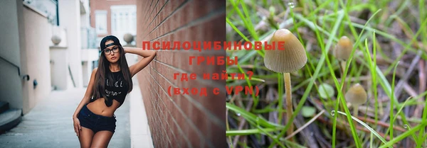 метамфетамин Покачи