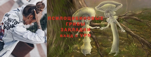соль ск Переславль-Залесский