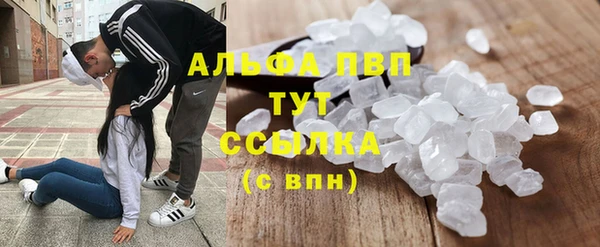ПСИЛОЦИБИНОВЫЕ ГРИБЫ Пересвет