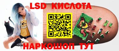 прущие крисы Кингисепп
