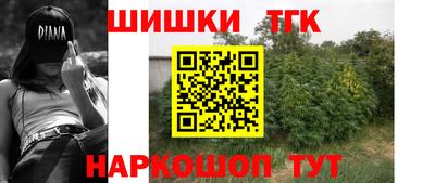 прущие крисы Кингисепп