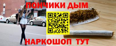 прущие крисы Кингисепп