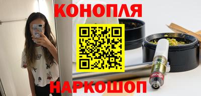 прущие крисы Кингисепп