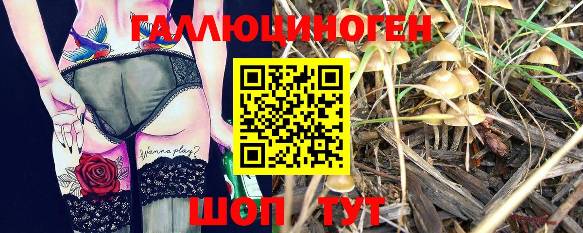 Псилоцибиновые грибы MAGIC MUSHROOMS Кострома