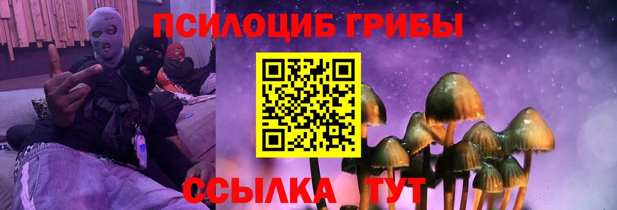 Кострома  Псилоцибиновые грибы Magic Shrooms  Галлюциногенные грибы MAGIC MUSHROOMS  Вход с VPN 